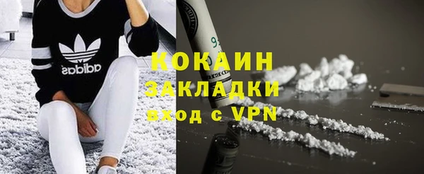 гашик Коряжма