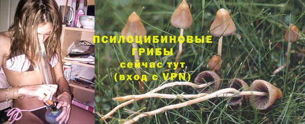 гашик Коряжма