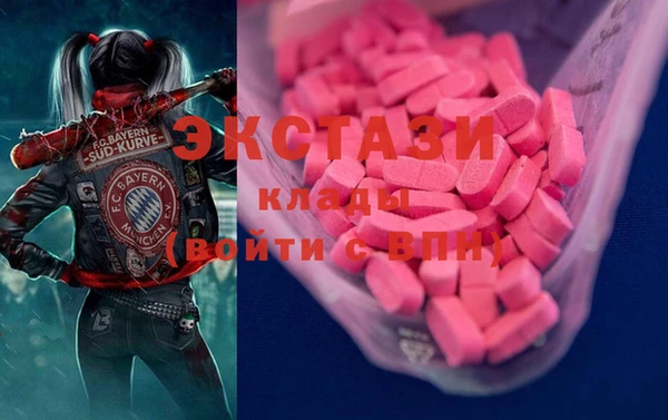 гашик Коряжма