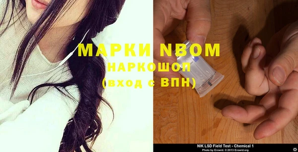 гашик Коряжма